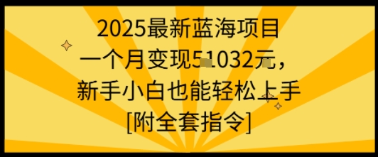 2025最新蓝海项目一个月变现1w+新手小白也能轻松上手【附全套指令】 2025最新蓝海项目一个月变现1w+新手小白也能轻松上手【附全套指令】