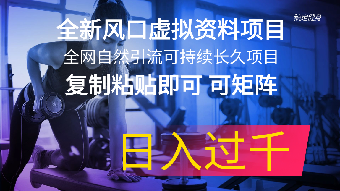 (11587期)全新风口虚拟资料项目 全网自然引流可持续长久项目 复制粘贴即可可矩阵… (11587期)全新风口虚拟资料项目 全网自然引流可持续长久项目 复制粘贴即可可矩阵…