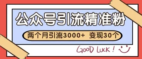 公众号精准粉引流玩法,2个月3000+精准粉,变现30个W【揭秘】 公众号精准粉引流玩法,2个月3000+精准粉,变现30个W【揭秘】