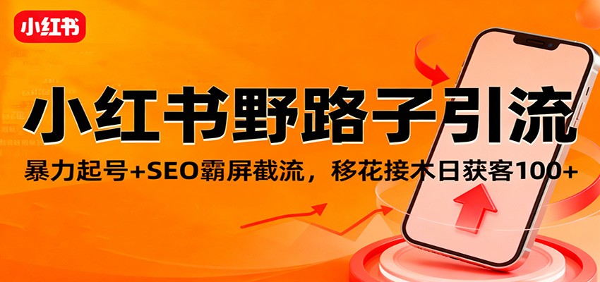 小红书野路子引流，暴力起号+SEO霸屏截流，移花接木日获客100+-知行客