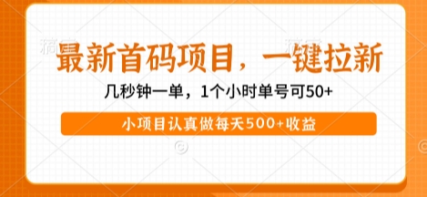 最新首码项目，操作最简单，收益高，一键拉新，1个小时单号可50+，小项目认真做每天5张+收益【揭秘】-知行客