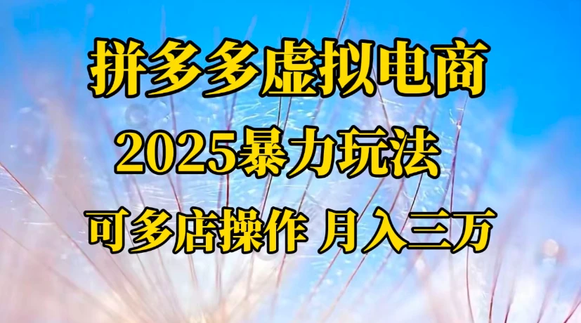 拼多多虚拟电商，一对一陪跑 月入三万，适合人群 上班族 宝妈 大学生-知行客