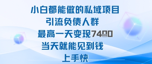 2025年小白都能做的私域项目引流负债人群最高一天变现1k+高变现难度低当天就能见到钱上手快-知行客