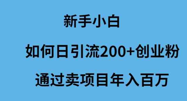 （9668期）新手小白如何日引流200+创业粉通过卖项目年入百万-知行客