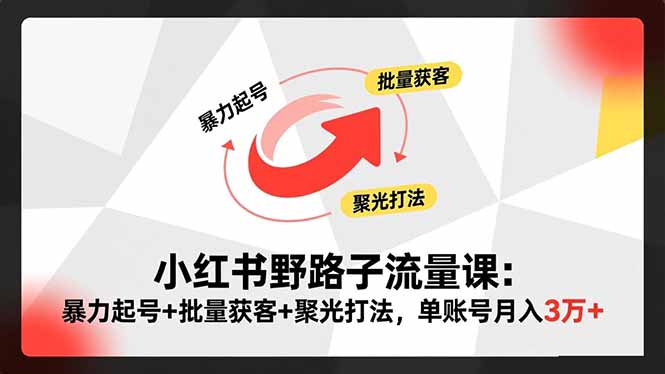 小红书野路子流量课：暴力起号+批量获客+聚光打法，单账号月入3万+ | 资源下载 - 知行客-知行客