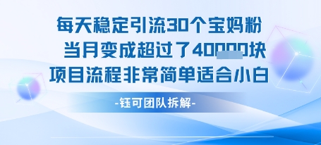 每天稳定引流30个人 当月变成超过了4个W项目流程非常简单适合小白-知行客