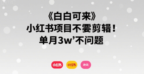 小白可来 小红书项目不需要剪辑 单月3w不是问题-知行客