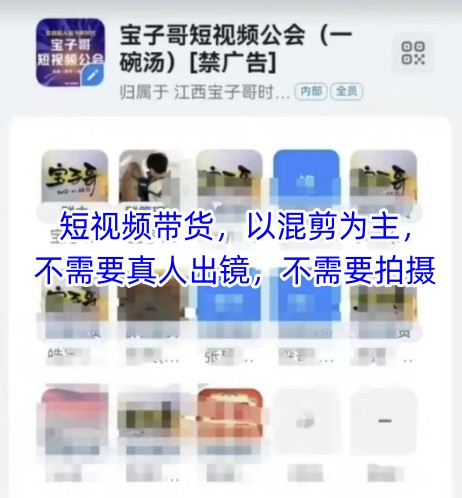 宝子哥头部团队短视频带货，以混剪为主，不需要真人出镜，不需要拍摄【更新26年3月】-知行客