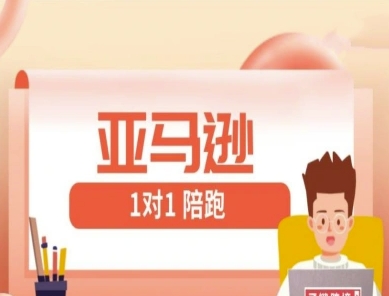 亚马逊1对1陪跑课(FBA/FBM精铺)跨境亚马逊教程-知行客