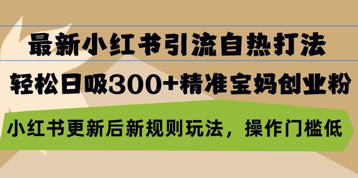 （13145期）最新小红书引流自热打法，轻松日吸300+精准宝妈创业粉，小红书更新后新…-知行客
