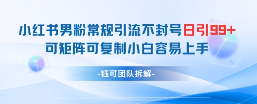 小红书男粉常规引流不封号日引99+变现简单 可矩阵可复制小白容易上手-知行客