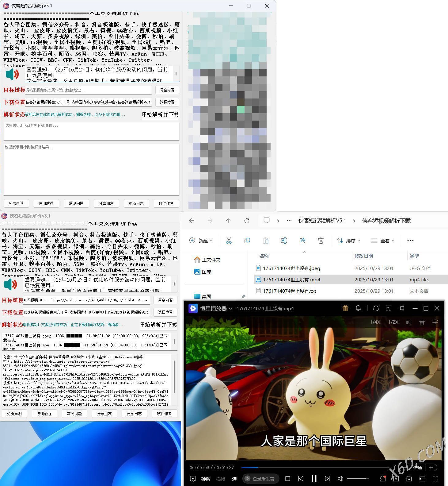 侠客多平台短视频解析去水印工具 V5.1-知行客
