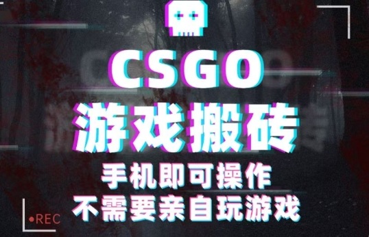 CSGO游戏挂G捡漏，单日扫货5张+，年底小高峰上车可吃肉，手机即可操作，兼职副业创业网创【揭秘】 | 资源下载 - 知行客-知行客