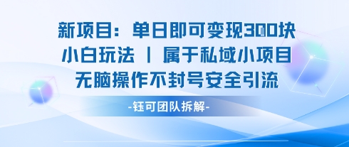 新项目单日即可变现3张的小白玩法无脑操作不封号安全引流-知行客
