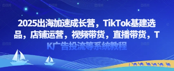 2025出海加速成长营，TikTok基建选品，店铺运营，视频带货，直播带货，TK广告投流等系统教程-知行客