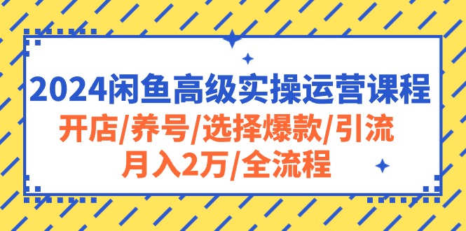 （10711期）2024闲鱼高级实操运营课程：开店/养号/选择爆款/引流/月入2万/全流程-知行客