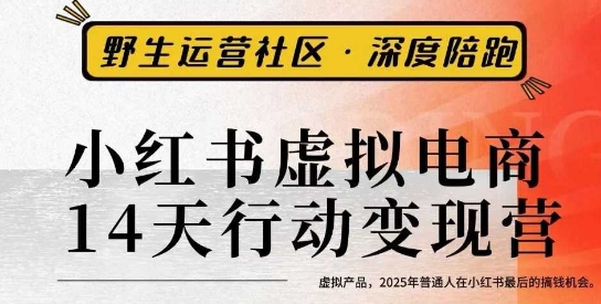 小红书虚拟电商14天变现训练营3.0，虚拟产品，2025年普通人在小红书最后的搞钱机会-知行客