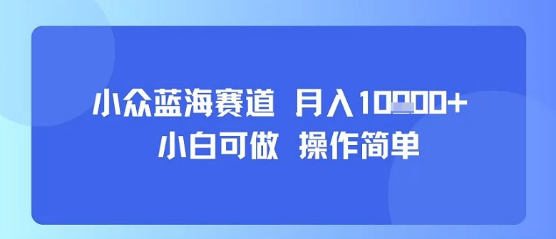 小众蓝海赛道，小白可做，操作简单，每天30分钟，月入1W+-知行客