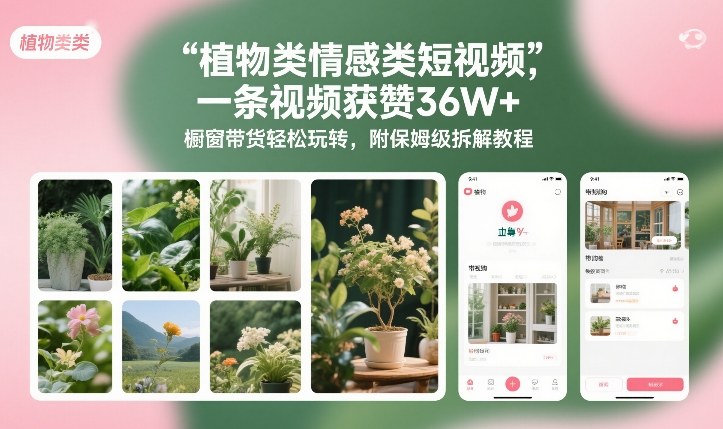 植物类情感类短视频，一条视频获赞36W+，橱窗带货轻松玩转，附保姆级拆解教程-知行客