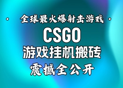 【年底大揭秘】基于全球最火爆的射击CSGO游戏挂G搬砖，日入5张+，震撼公开-知行客