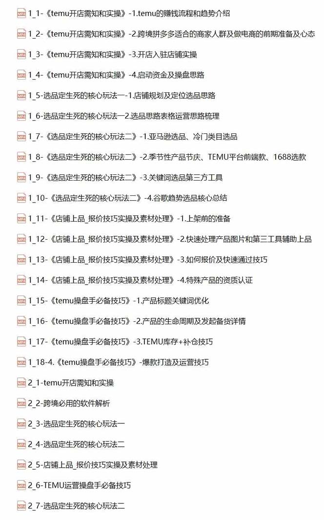 （12106期）2024-TEMU拼多多·跨境开店、运营、选品（25节视频课）-知行客