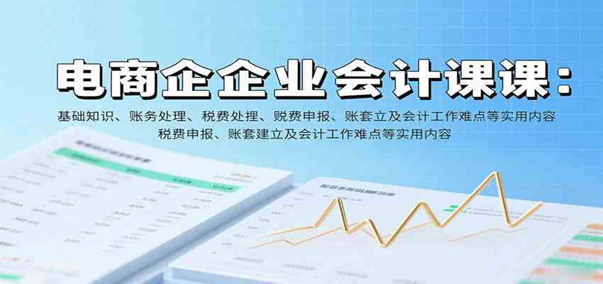 电商企业会计课：基础知识、账务处理、税费申报、账套建立及会计工作难点等实用内容-知行客