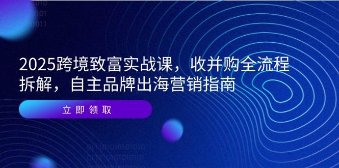 （14975期）2025跨境致富实战课，收并购全流程拆解，自主品牌出海营销指南-知行客