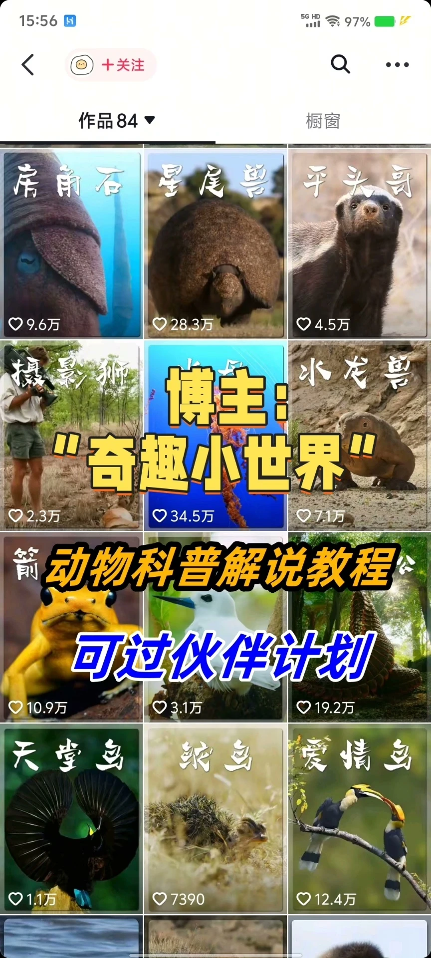 【精】奇趣小世界dy大v博主课程动物百科解说教程剪辑实操视频原创文案思路讲解-知行客