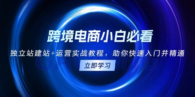 （13503期）跨境电商小白必看！独立站建站+运营实战教程，助你快速入门并精通-知行客
