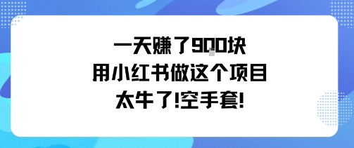 一天挣了9张用小红书做这个项目太牛了，空手套-知行客