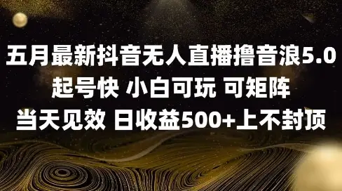 2025五月最新无人直播撸音浪单日产出5张+实操教程【揭秘】-知行客