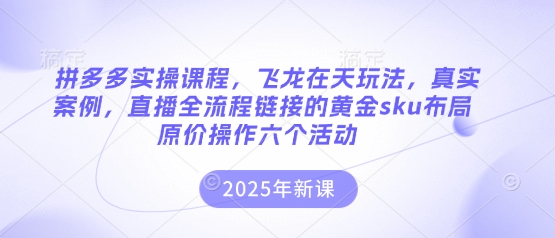拼多多实操课程，飞龙在天玩法，真实案例，直播全流程链接的黄金sku布局原价操作六个活动-知行客