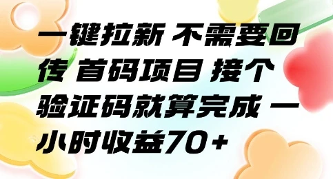 一键拉新 不需要回传 首码项目 接个验证码就算完成 一小时收益70+【揭秘】-知行客