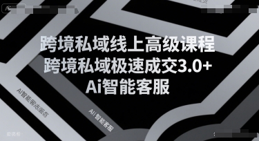跨境私域线上高级课程，跨境私域极速成交3.0+Ai智能客服-知行客