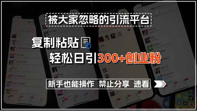 （15428期）被大家忽略的引流平台，复制粘贴轻松日引300+创业粉，新手也能操作，禁…-知行客