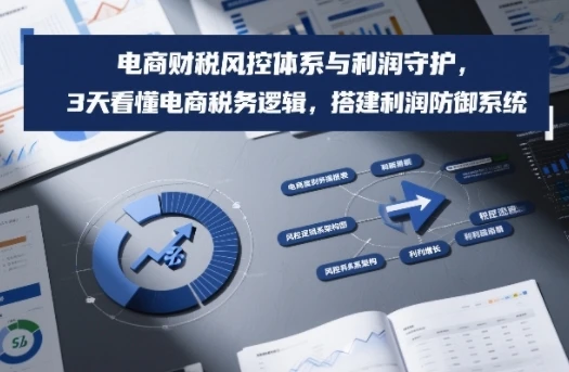 【精】电商财税风控体系与利润守护，3天看懂电商税务逻辑，搭建利润防御系统-知行客