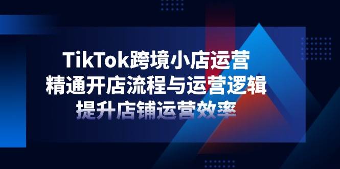 （14369期）TikTok跨境小店运营，精通开店流程与运营逻辑，提升店铺运营效率-知行客