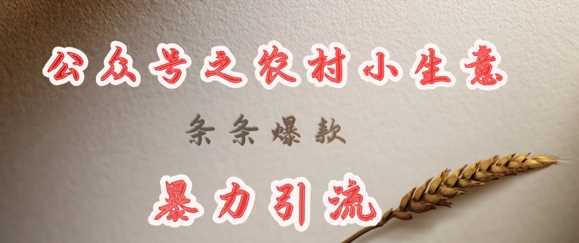 deepseek写农村小项目，条条爆款，暴力引流-知行客