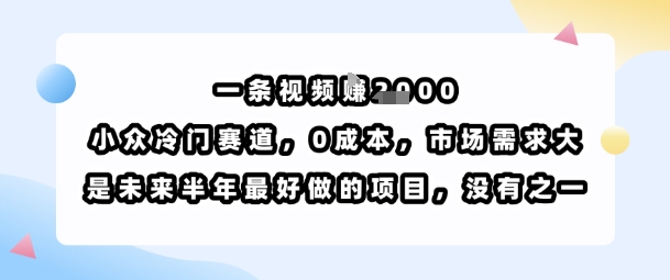 一条视频挣1k，小众冷门赛道，0成本，市场需求大，是未来半年最好做的项目，没有之一-知行客